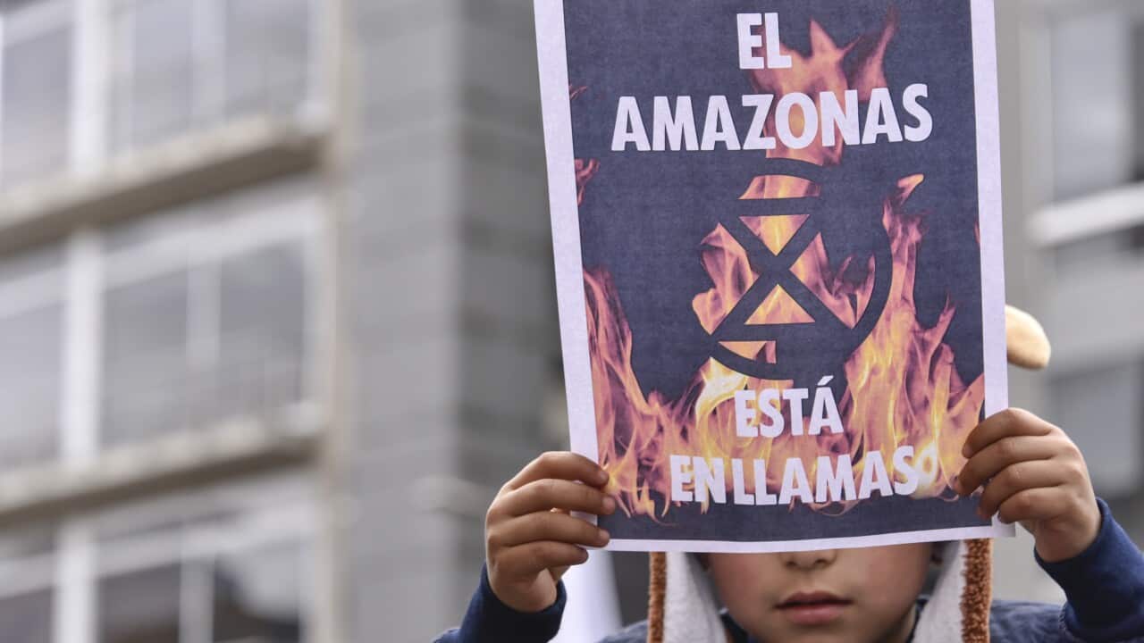 A boy holds a poster "the Amazon is on fire" (El Amazonas est en llamas in Spanish) during the 'S.O.S Amazonia' protest in response to Amazon rainforest fires.