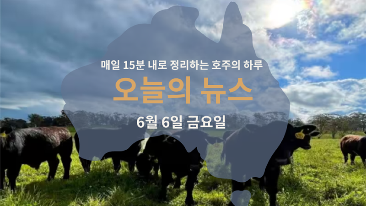 06062025.png