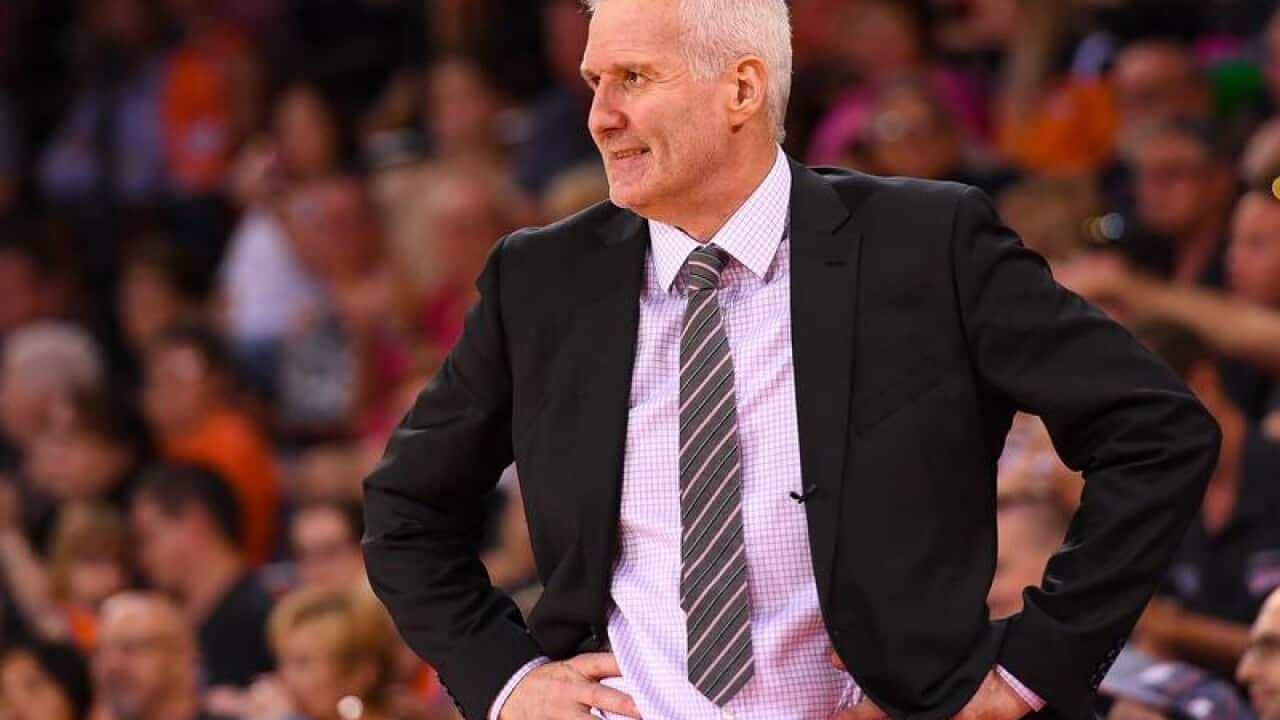 Sydney Kings head coach Andrew Gaze looks on during round eight NBL.