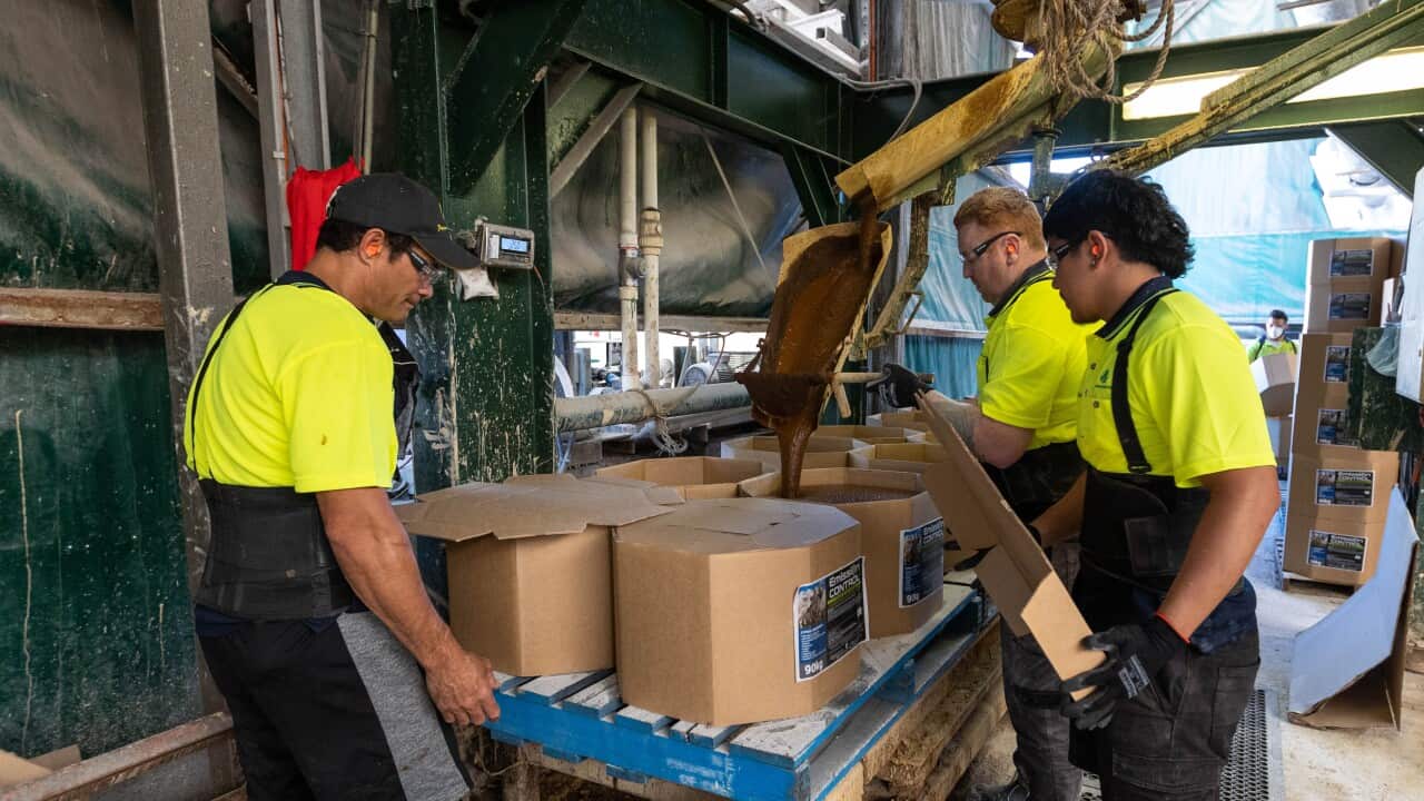Three factory workers in yellow uniforms work on a machine.