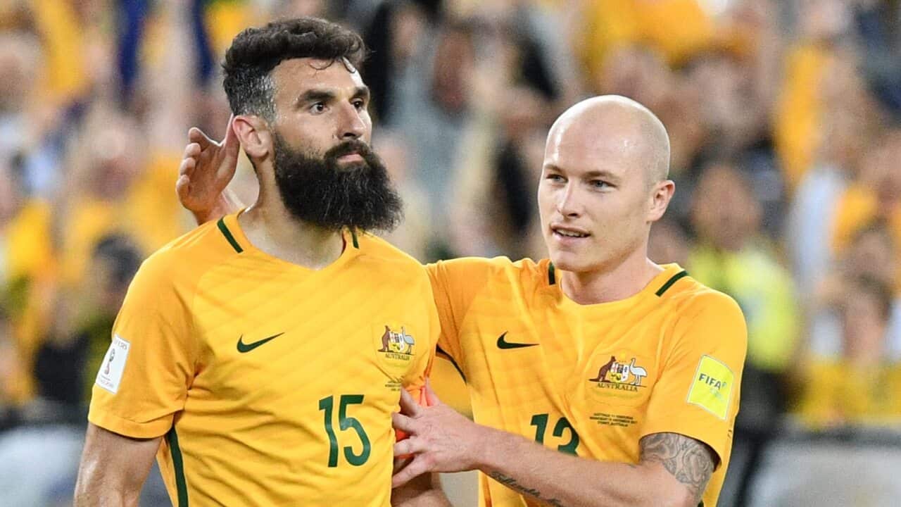 Jedinak and Mooy