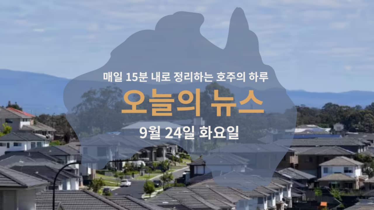 15news_web20 (1).png