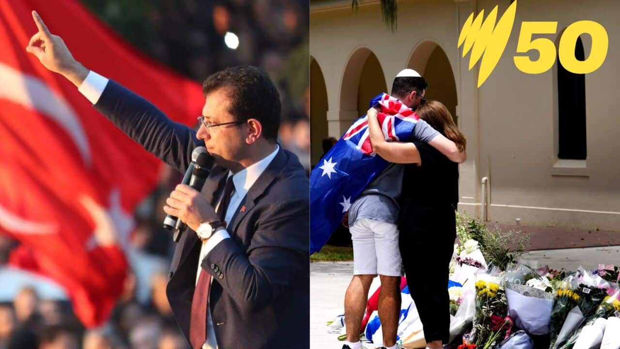 Untitled design (1).jpg