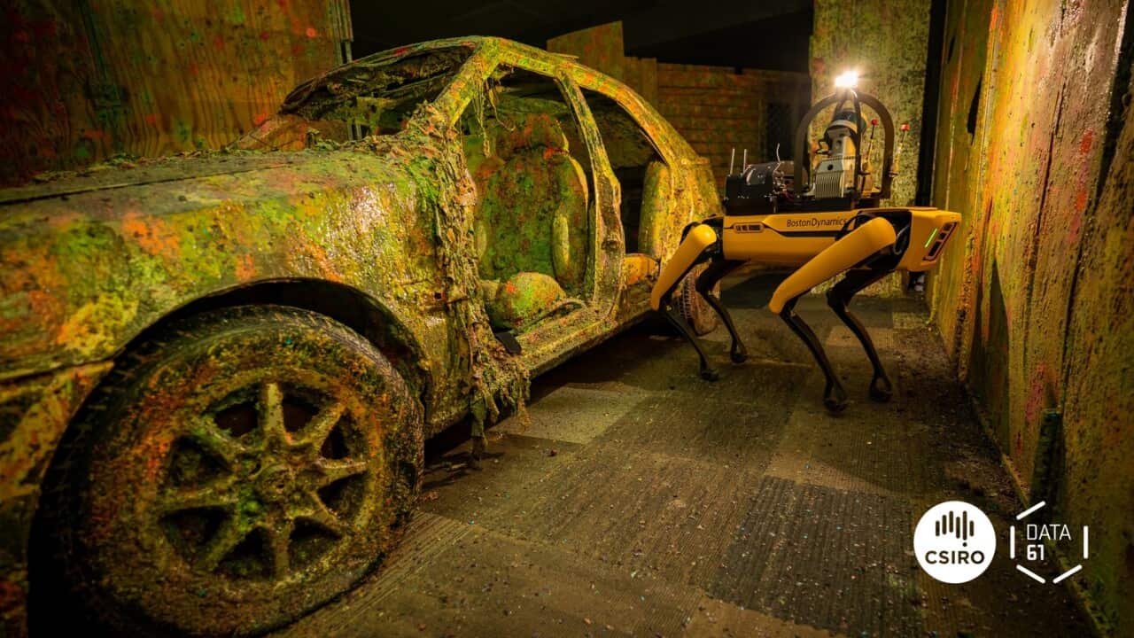 A CSIRO quadruped robot that will be entering the Robot Olympics