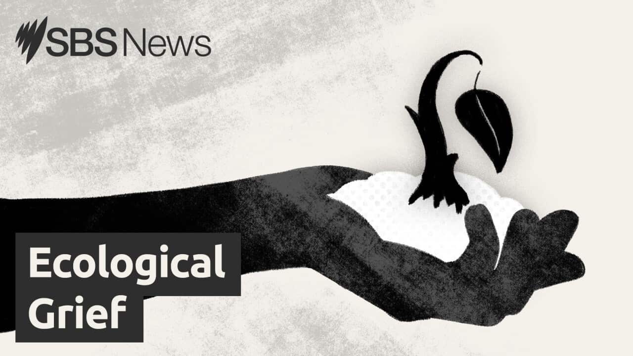 16x9 EP5 Ecological Grief.jpg