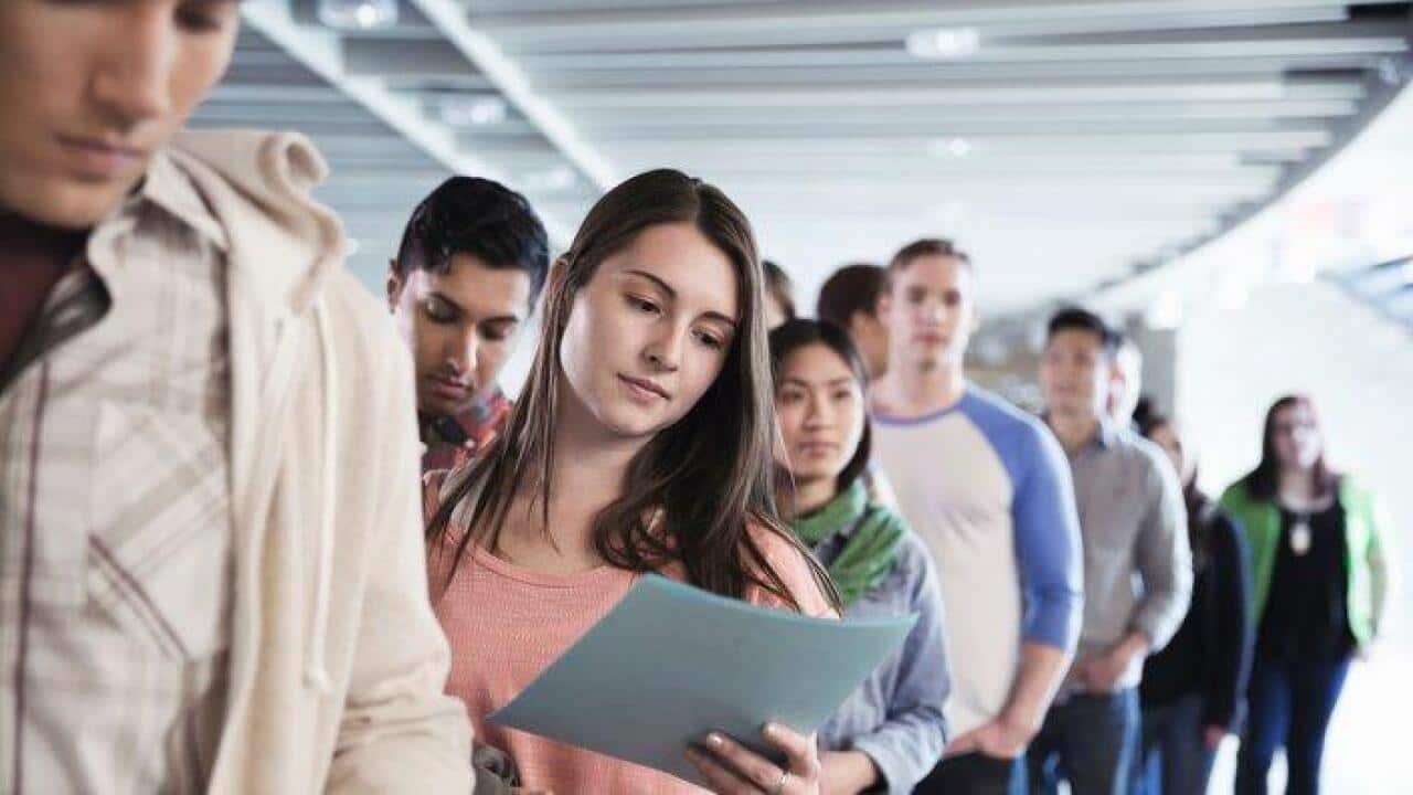 job seekers