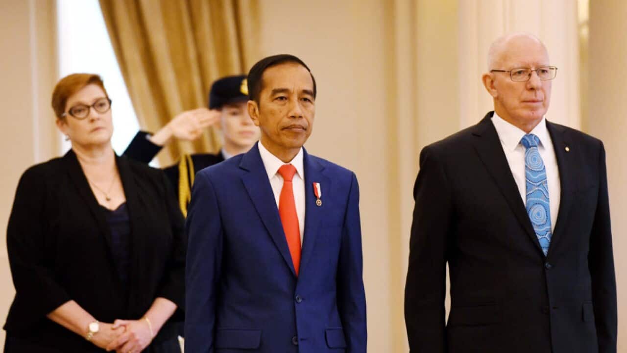 Joko Widodo (centre) receives a ceremonial welcome at Government House