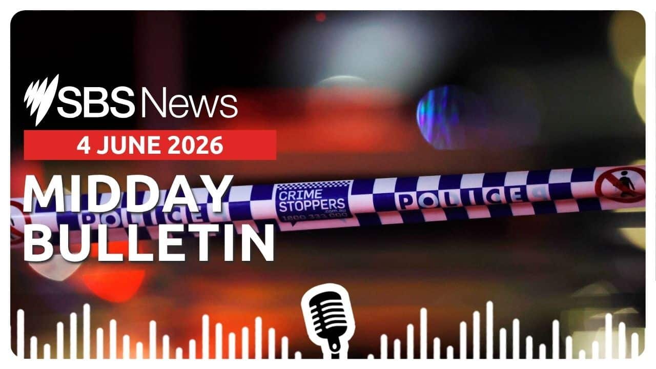 Midday News Bulletin image 4 June 2026.jpg
