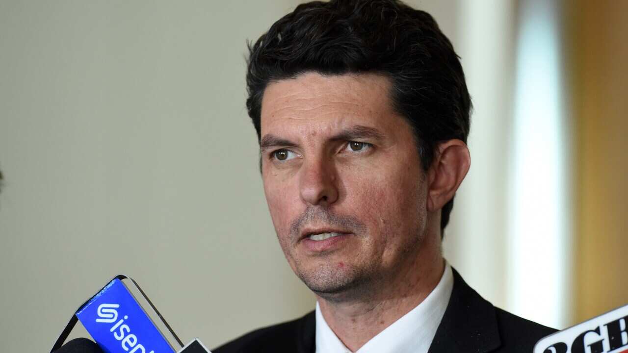 Federal Greens Senator Scott Ludlam speaks to the media at Parliament House in Canberra, March 25, 2015. (AAP Image/Mick Tsikas)