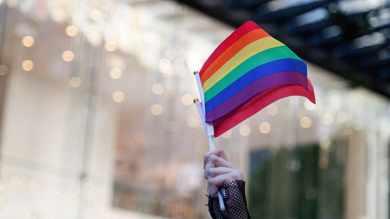 A person wearing a fishnet long-sleeve top holds an LGBTIQ+ flag high in the air.