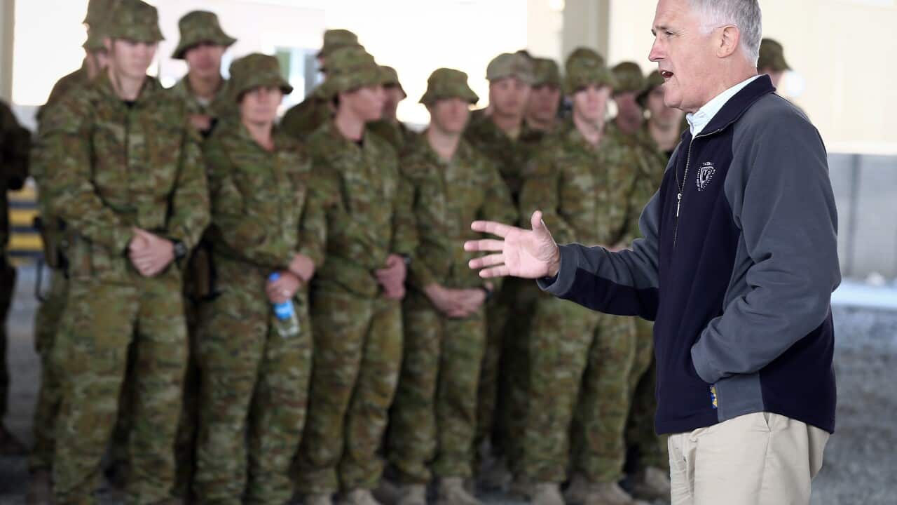 ADF soildiers suicide rates