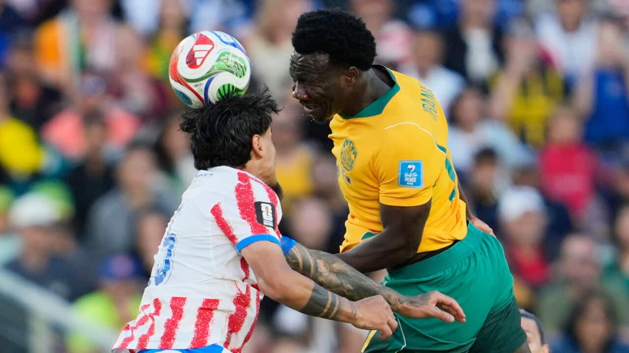 Nestory Irankunda,Gustavo Gomez