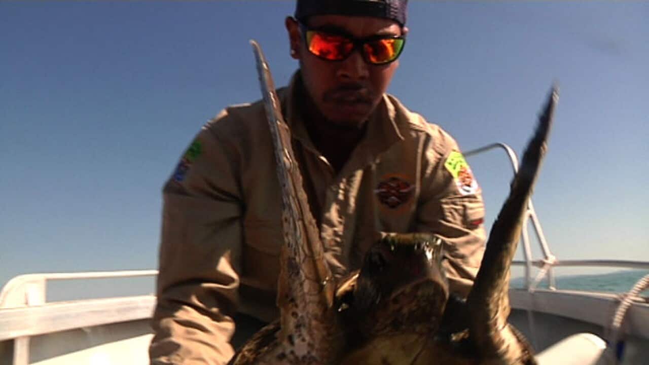LBK 131011 SEA RANGERS_1829068241
