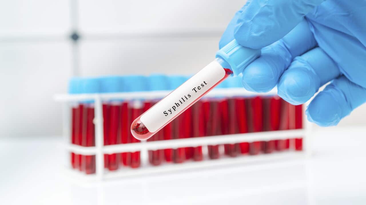 Syphilis blood test, conceptual image