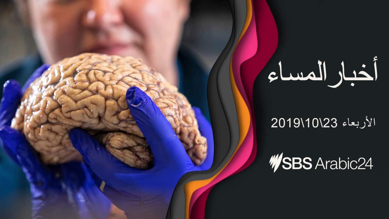 Human brain examined in a lab