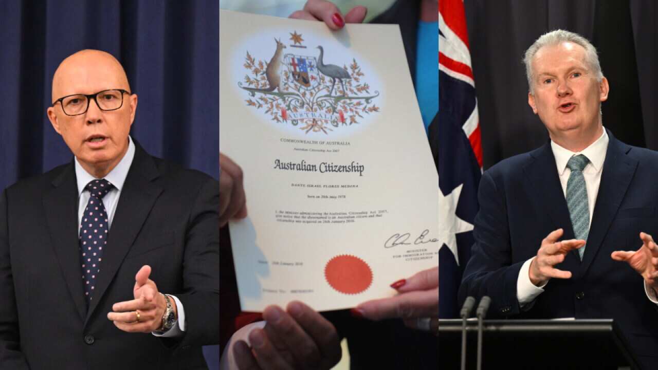 Peter Dutton, Citizenship Certificate and Tony Burke