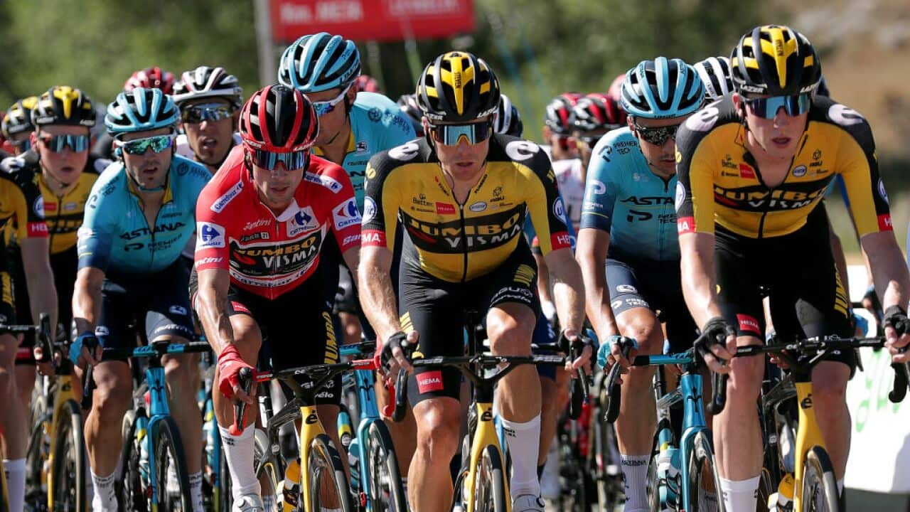 roglic