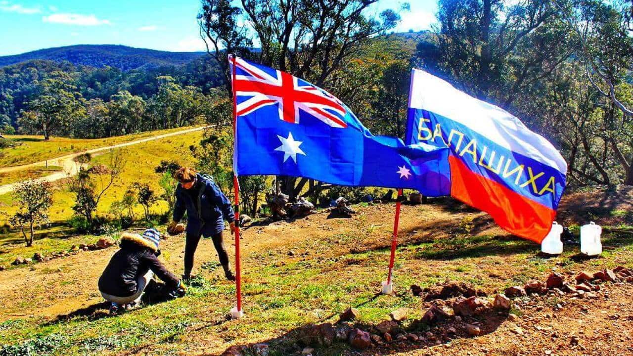 Guests planting trees at Balashiha