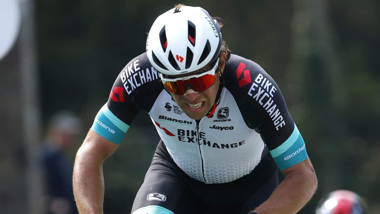 Michael Matthews, Team BikeExchange, Fleche Wallonne