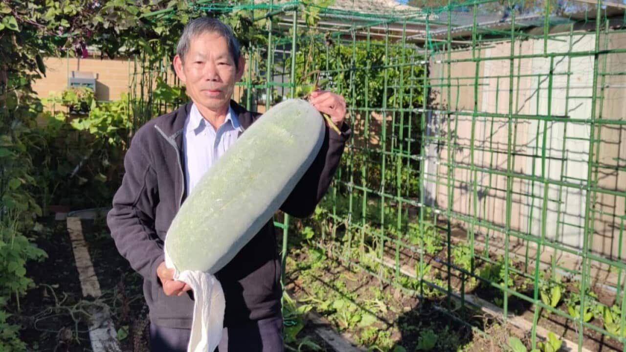 Image for read more article '更多內容'