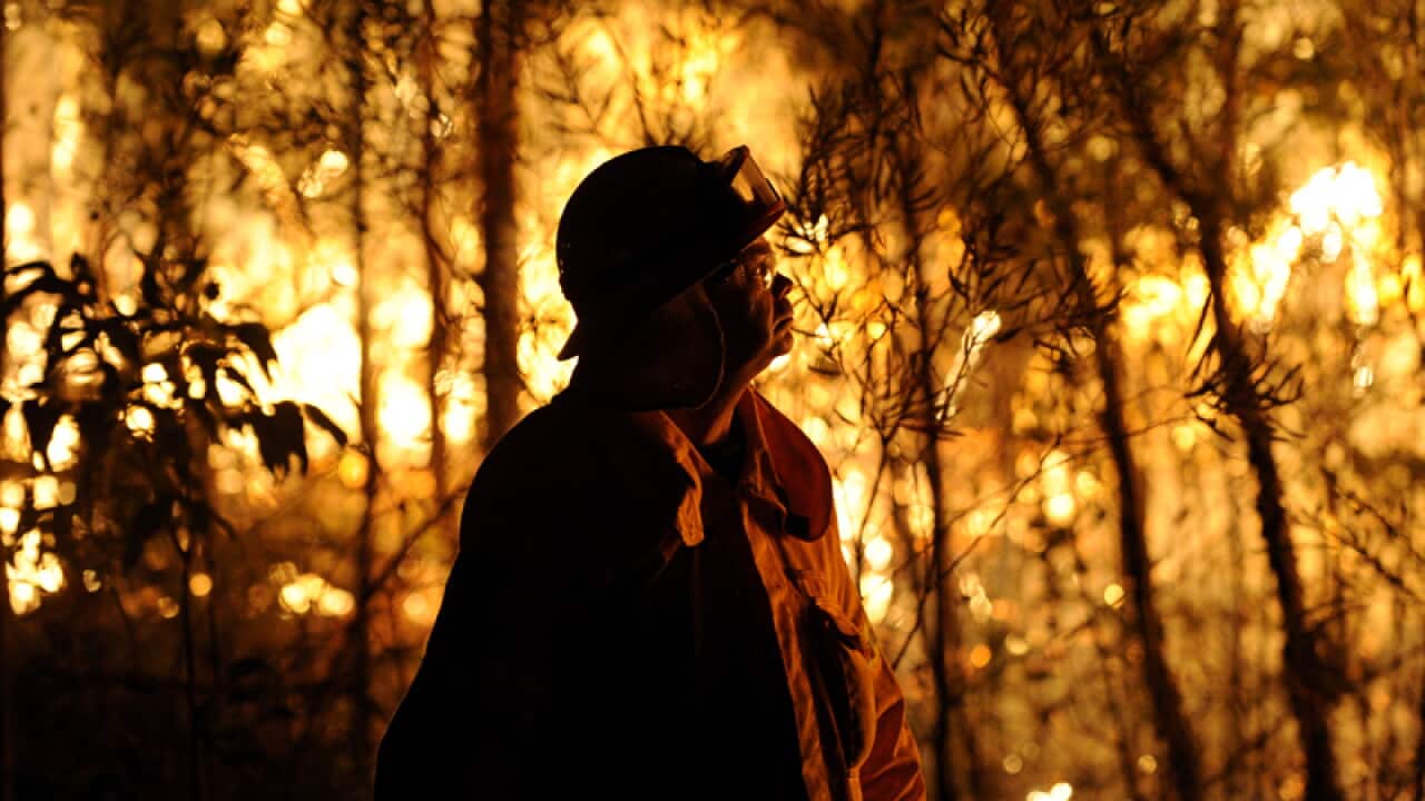 A firefighter at the scene of a bushfire