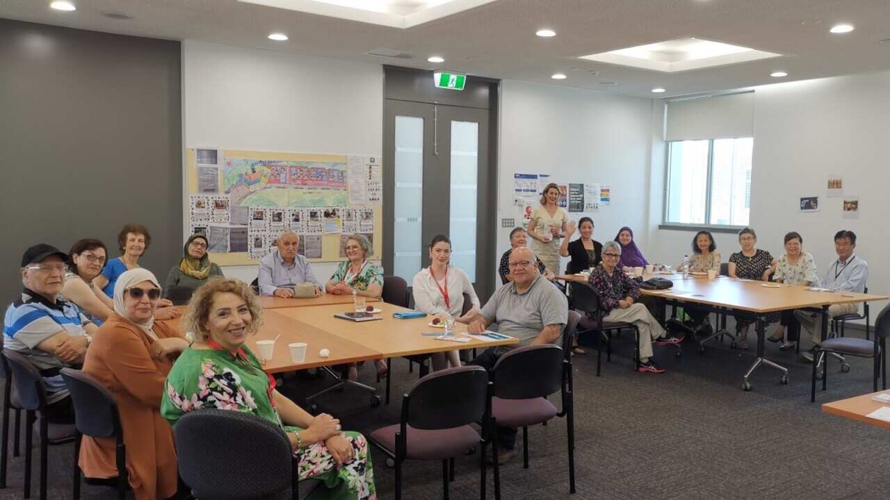 Migrant Centre Palliative Care Feb 2024.jpg