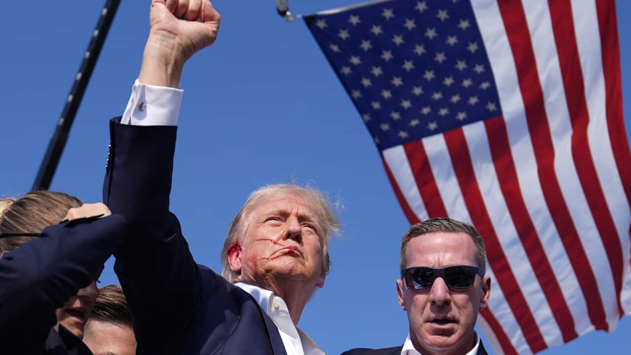 Donald Trump raises his fist in the air surrounded by an American flag