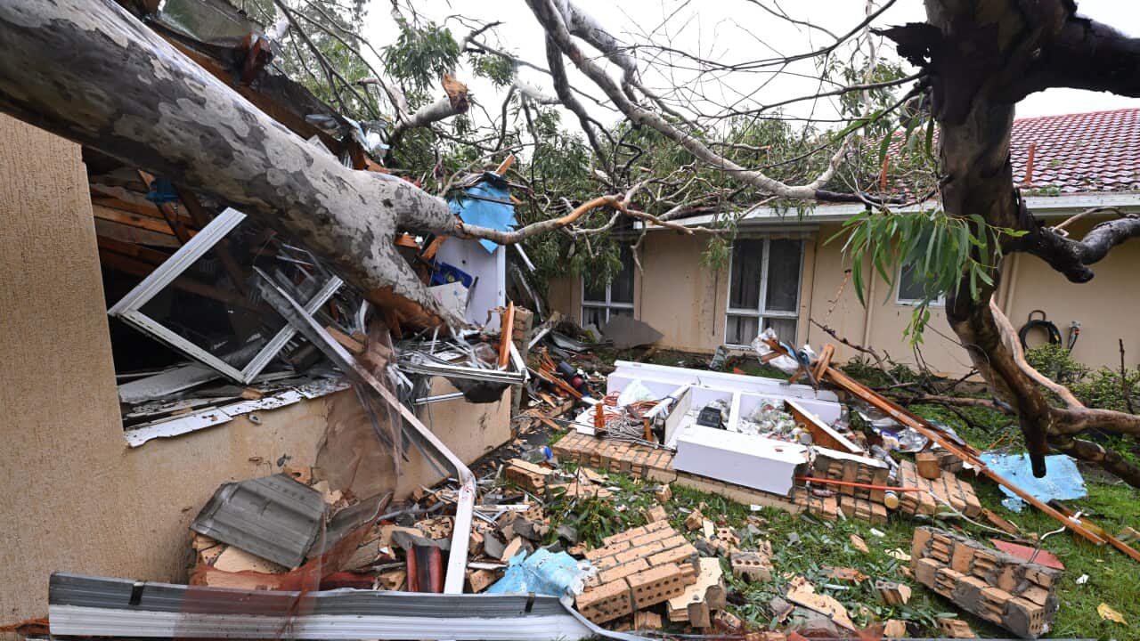 A tree collapsed into a house with the lawn covered in bricks and debris