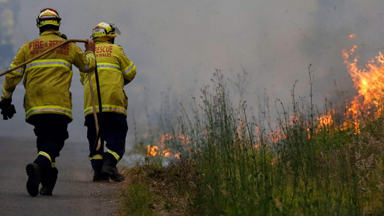 Firefighters work on a controlled burn just South of Taree.