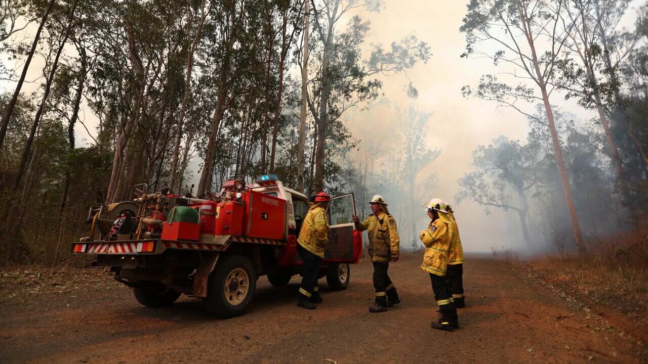 Fire crews continue the fight against bushfires at Busbys Flat in northern New South Wales.