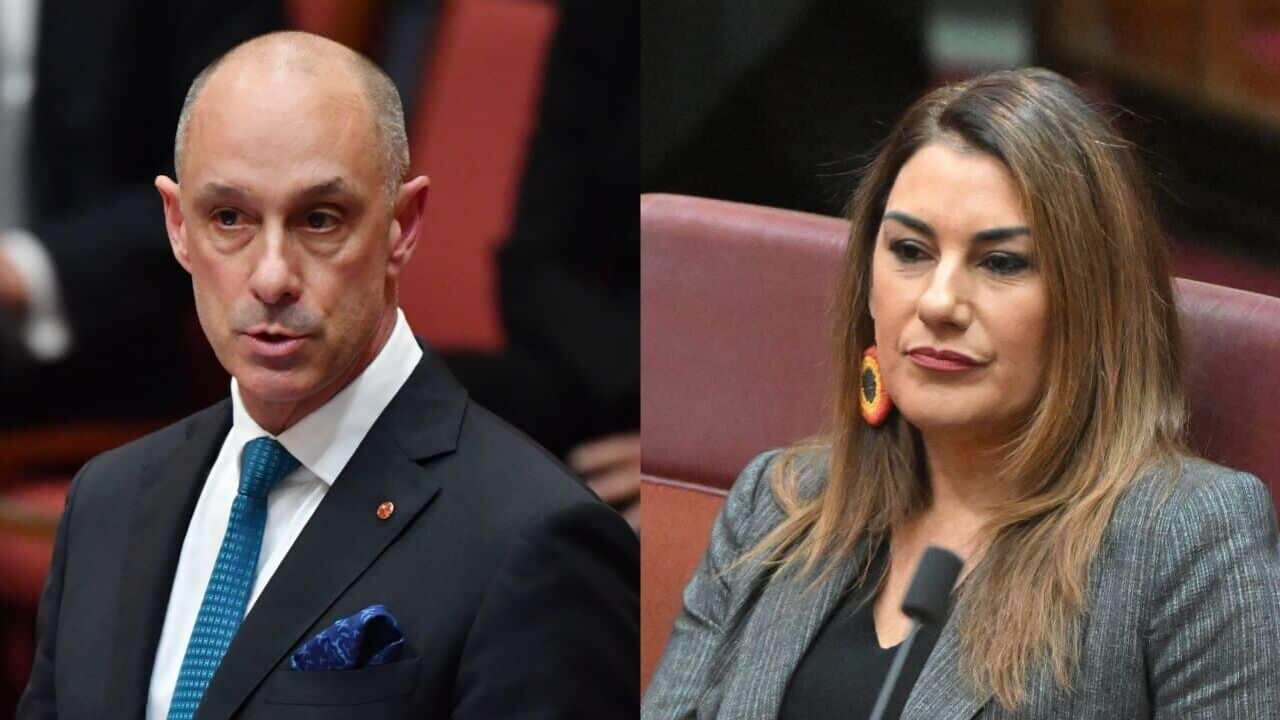 Liberal senator David Van and independent Lidia Thorpe.jpg