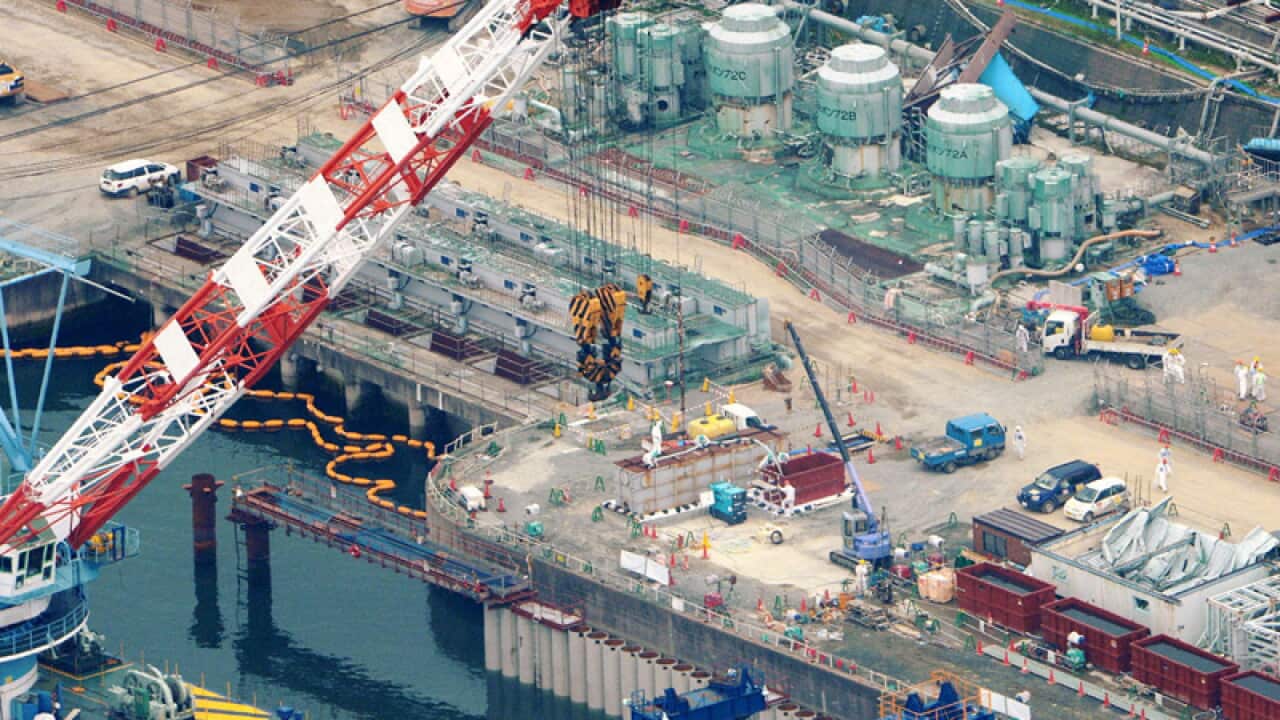 Fukushima operator pumps out toxic water