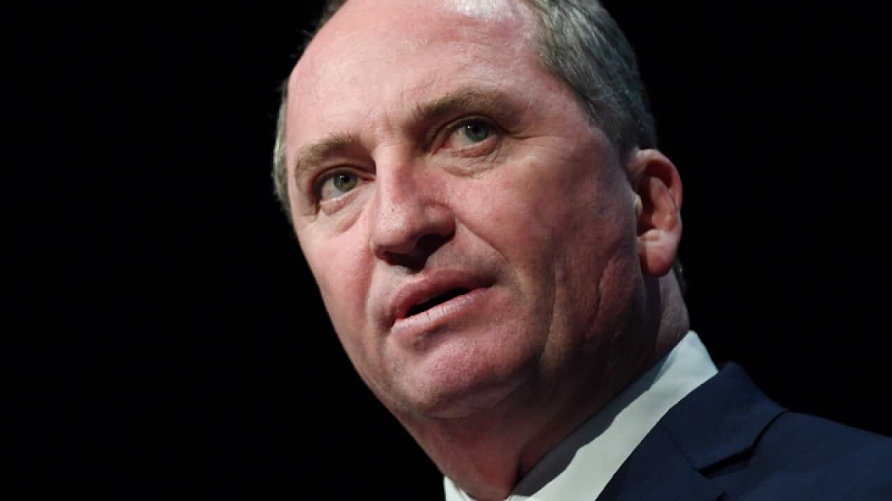 File image of Barnaby Joyce (AAP)