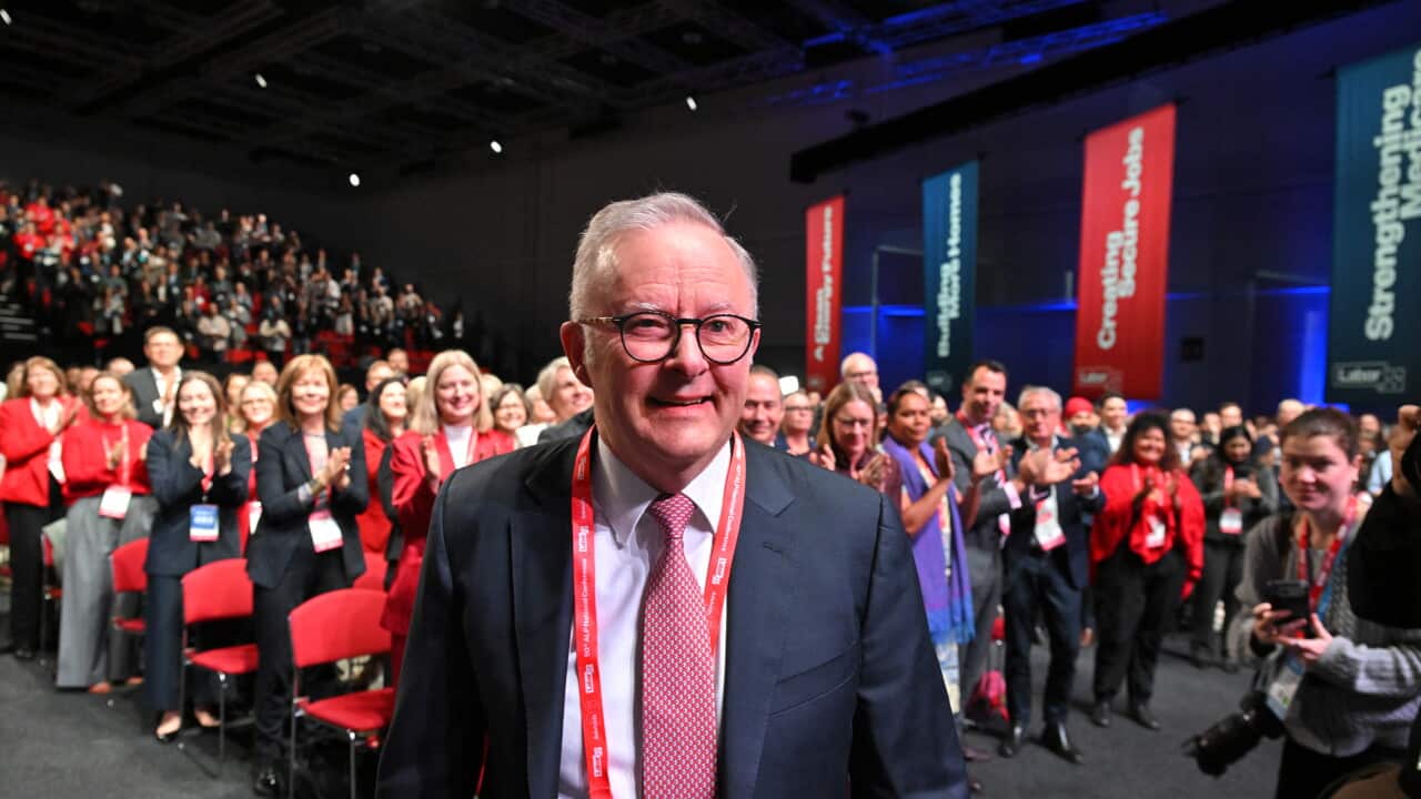 ALP NATIONAL CONFERENCE