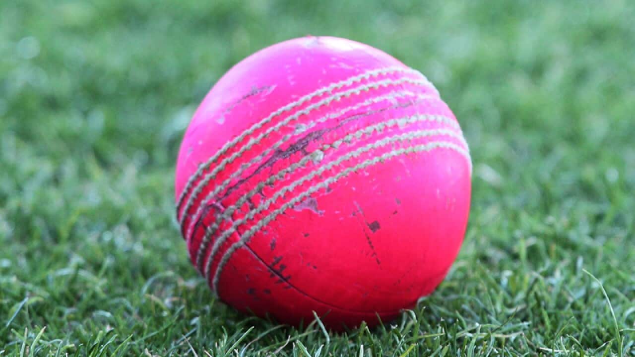 The pink ball.