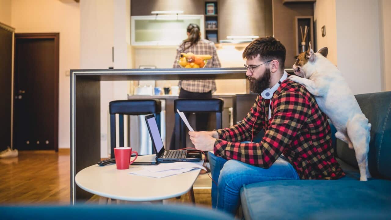 Image for read more article 'READ MORE'