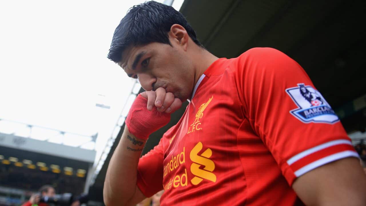 Suarez