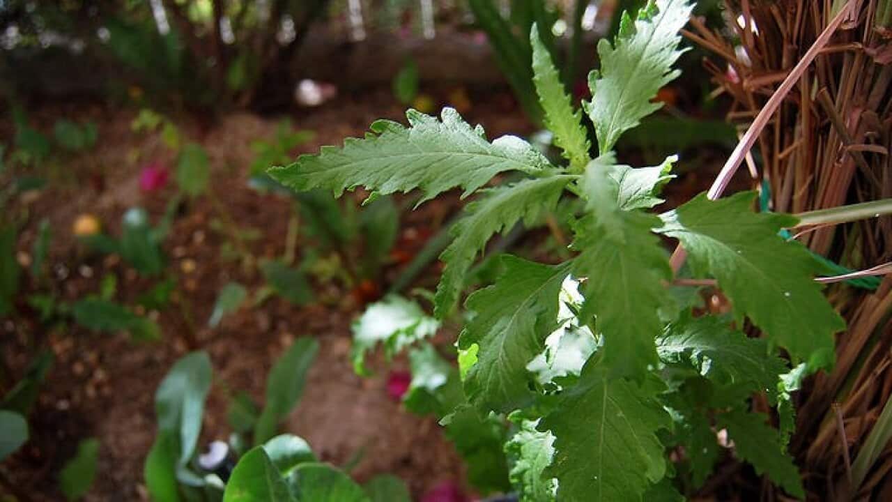 Image for read more article ''