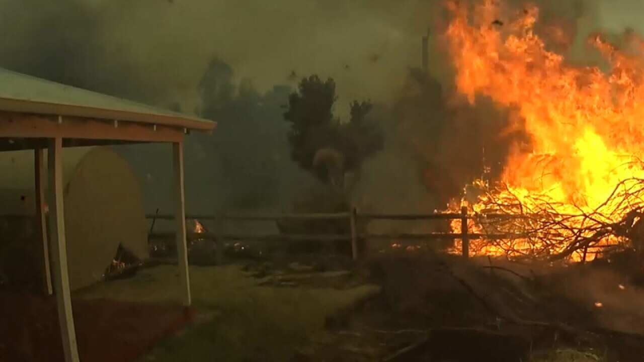 Video footage from a Parks and Wildlife truck