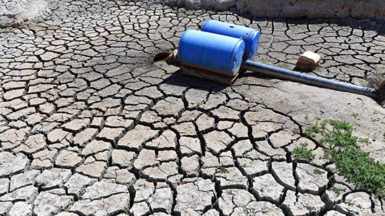 A dried up dam at Cottonvale apple orchard, outside the drought ravaged town of Stanthorpe, 180km south west of Brisbane, Friday, October 4, 2019.