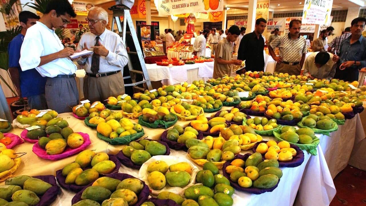 Rataul Mangoes