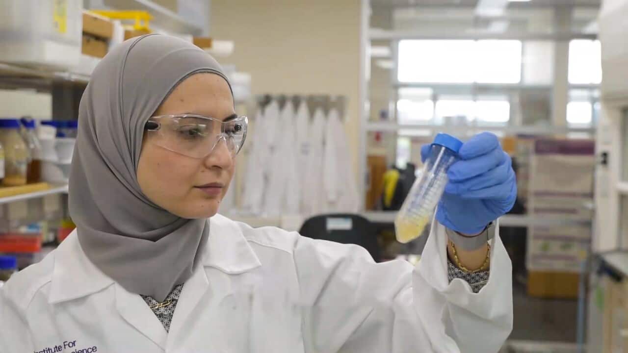 Image for read more article 'Read more'