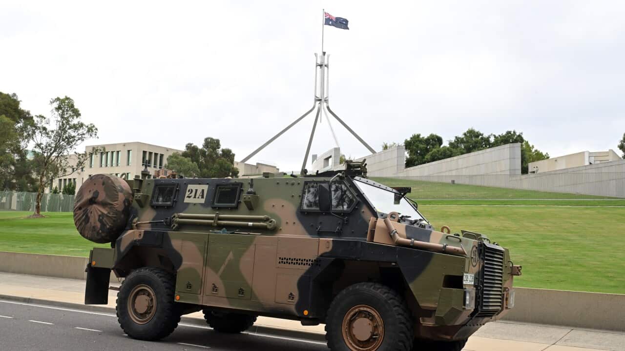 BUSHMASTER PARLIAMENT HOUSE