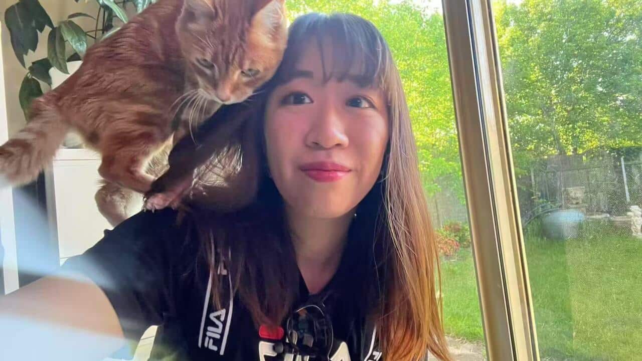 Image for read more article ''