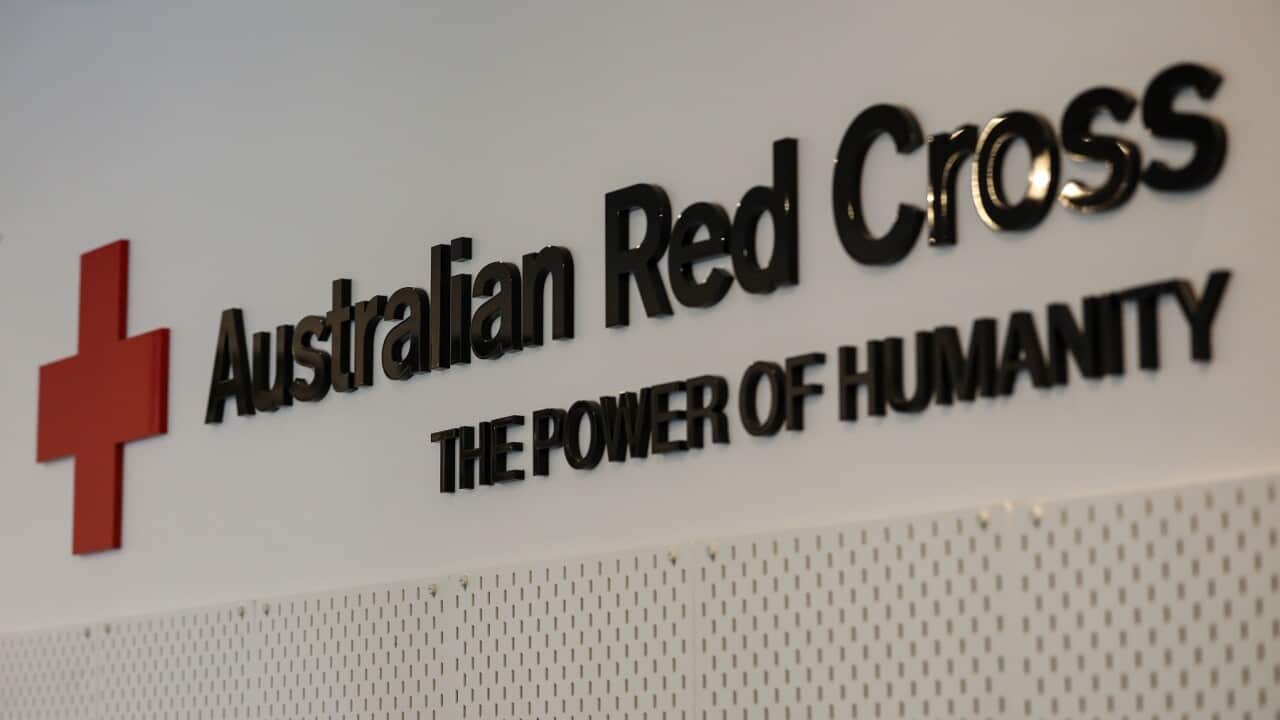 AMANDA RISHWORTH PRESSER