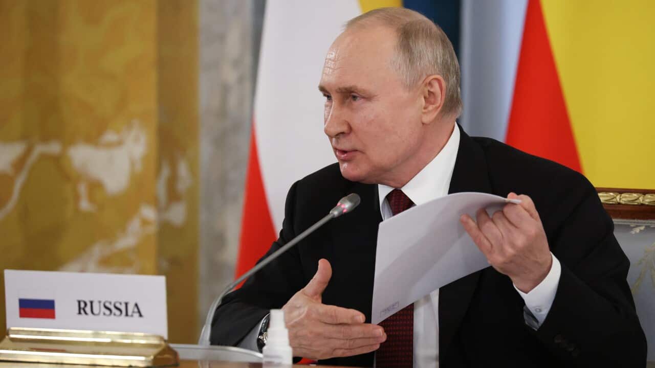 Russia: Russian President Putin meets with leaders of African countries