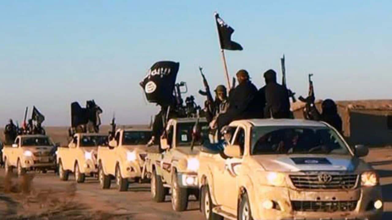 Supporters of the Islamic State