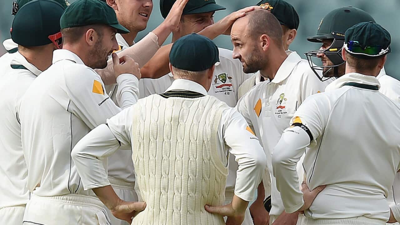 Australian cricketers celebrate after claiming a wicket