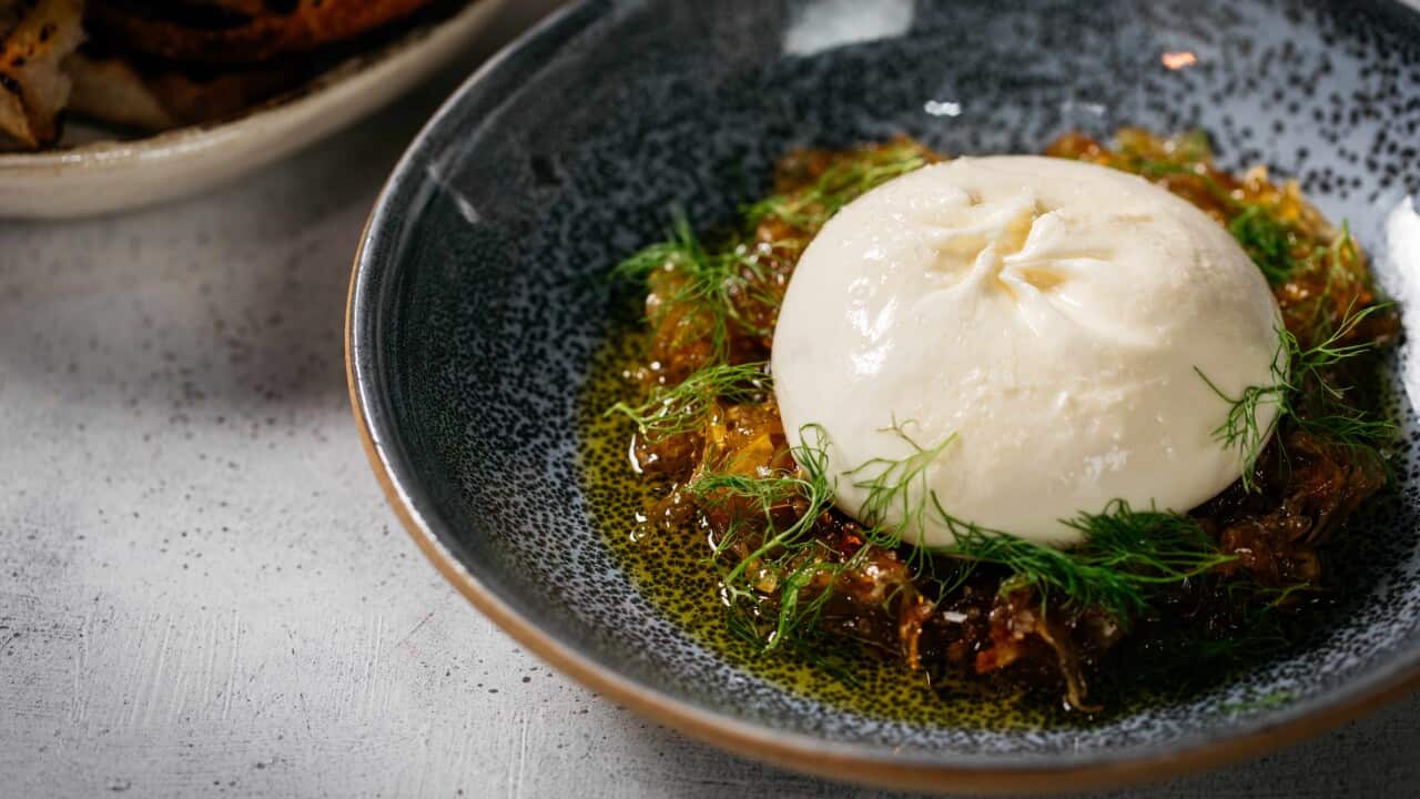 Pickled fennel jam with burrata and grilled bread