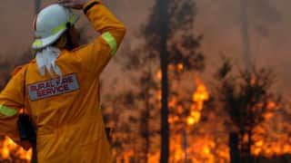 bushfire